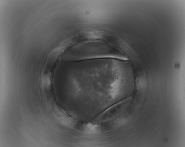 X0000112420570200908281841