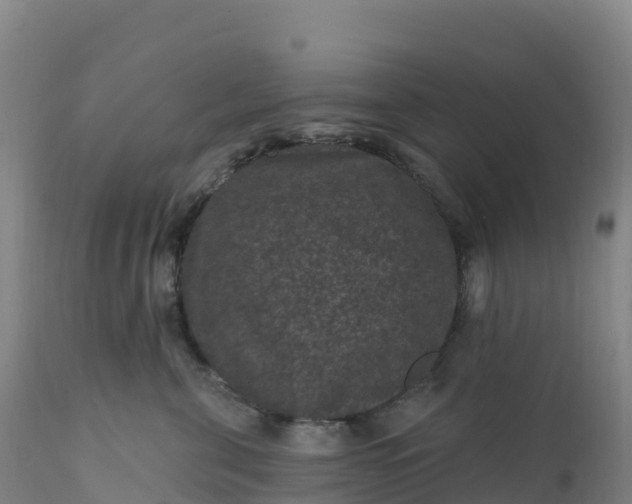 X0000112420571200908281841