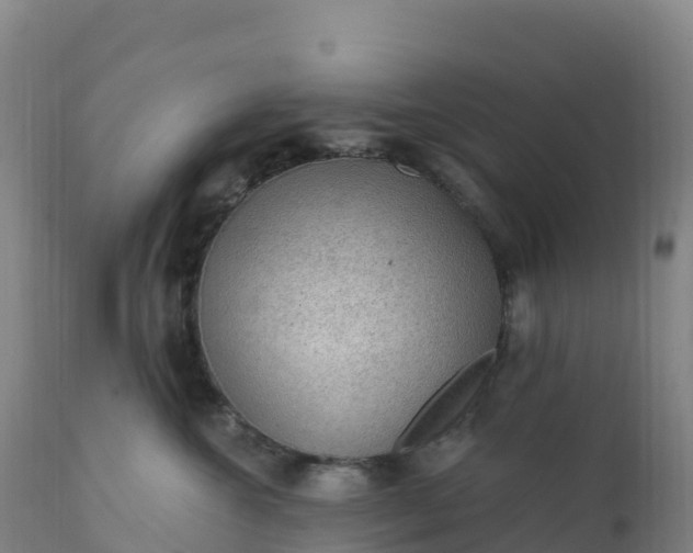 X0000112420572200908281841