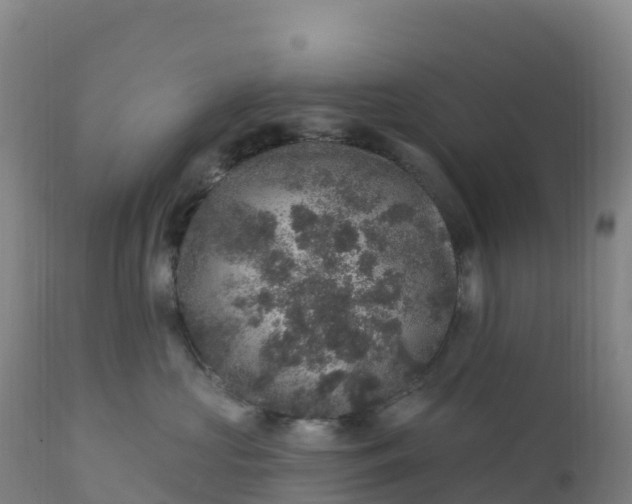 X0000112420573200908281841