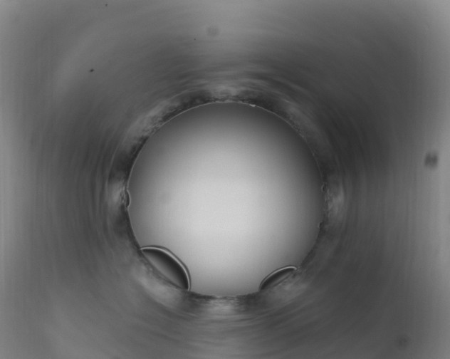 X0000112420574200908281841