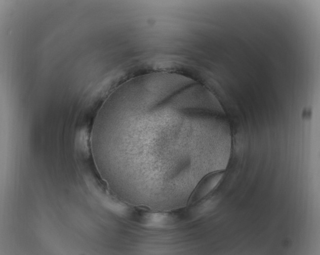 X0000112420575200908281841