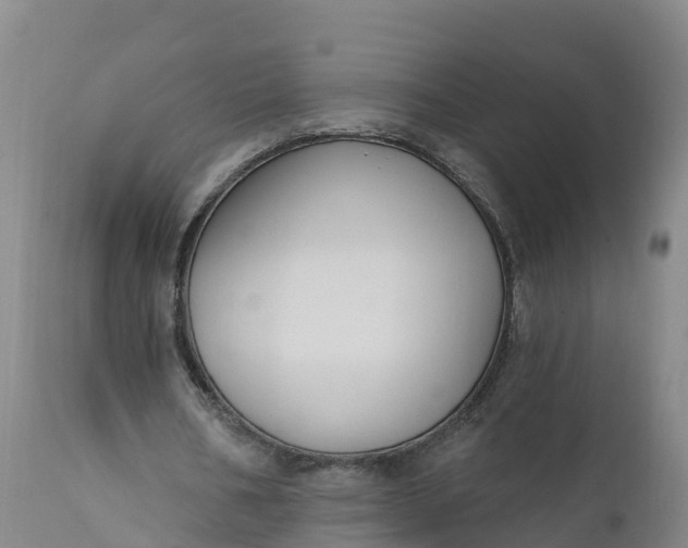 X0000112420578200908281841