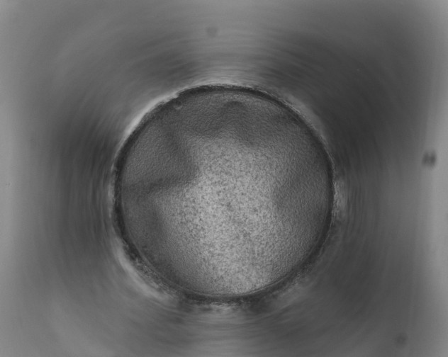 X0000112420580200908281841