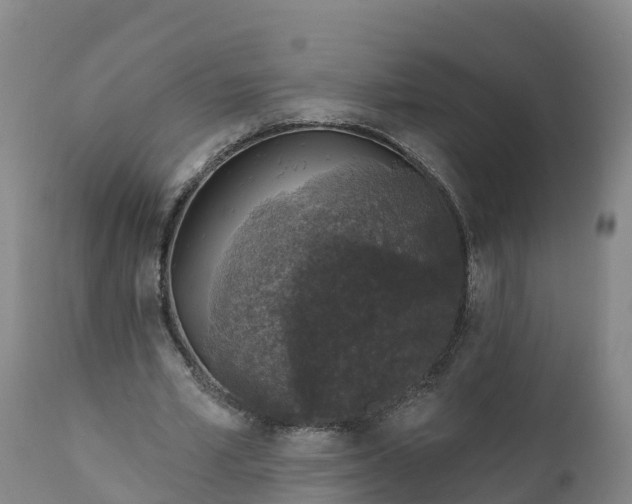 X0000112420581200908281841