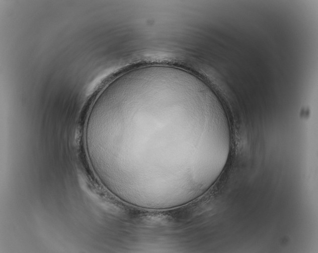 X0000112420583200908281840