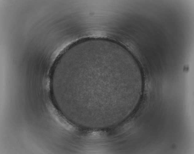 X0000112420584200908281840