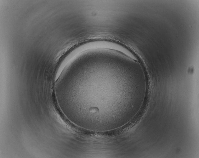 X0000112420585200908281840