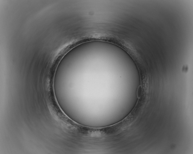 X0000112420587200908281840