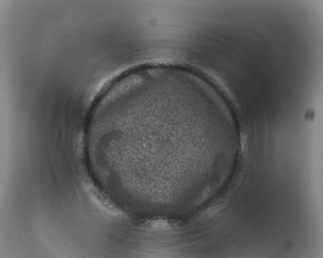 X0000112420588200908281840