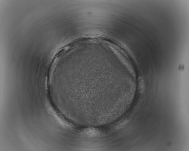 X0000112420589200908281840