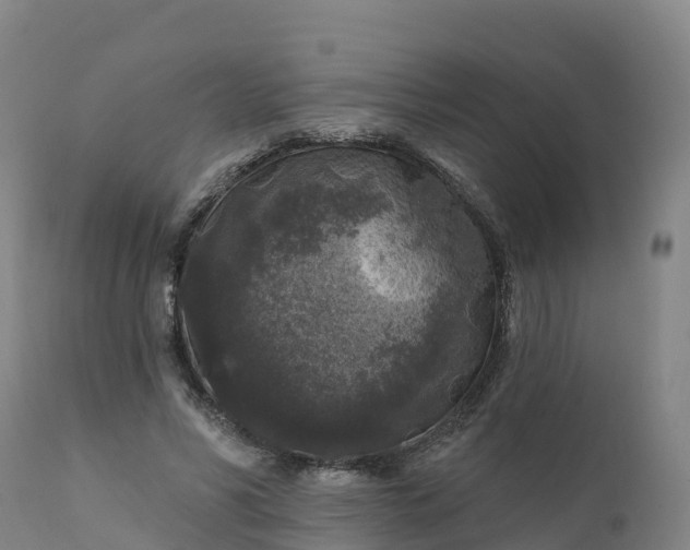 X0000112420590200908281840