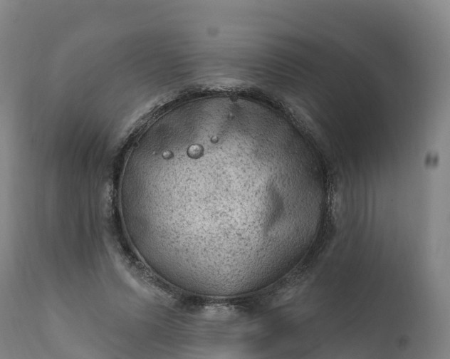 X0000112420591200908281840