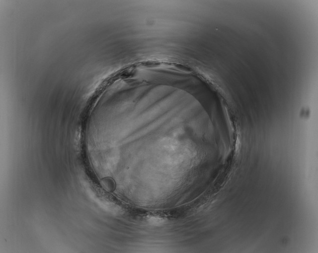 X0000112420592200908281840