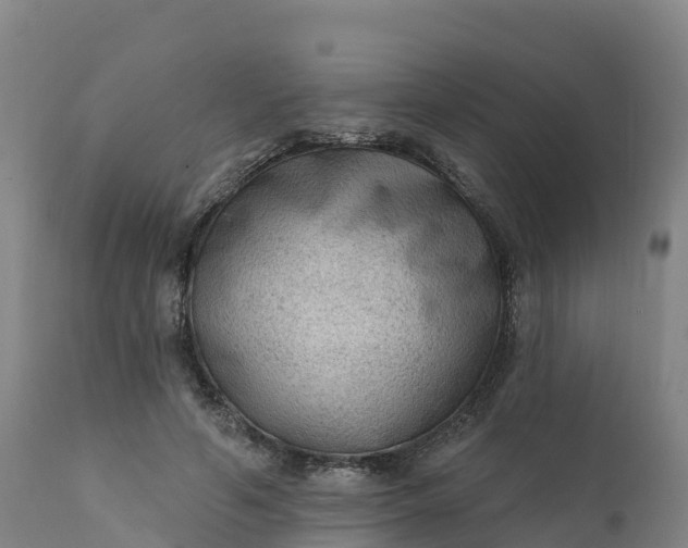 X0000112420594200908281840