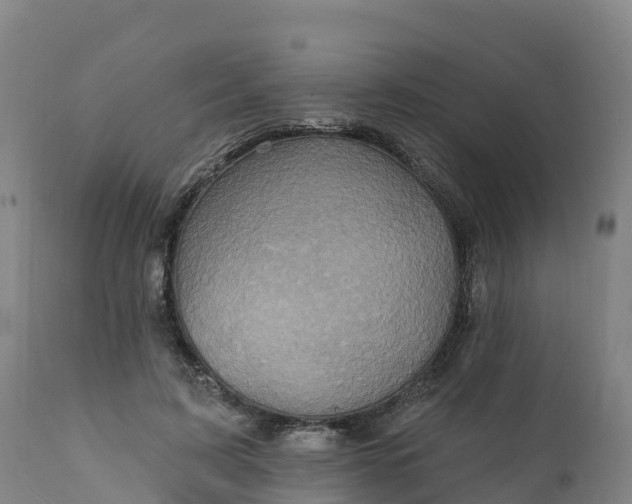 X0000112420595200908281840