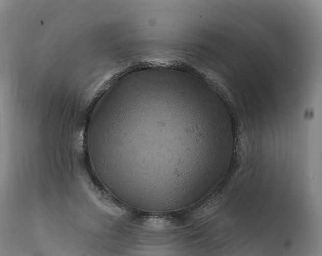 X0000112420596200908281840