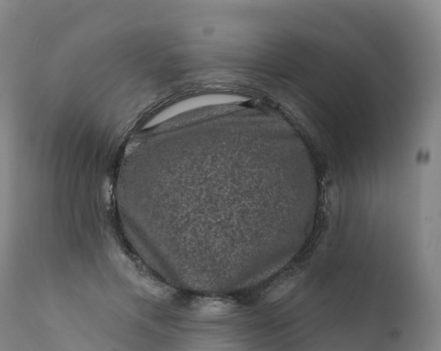 X0000112420597200908281840