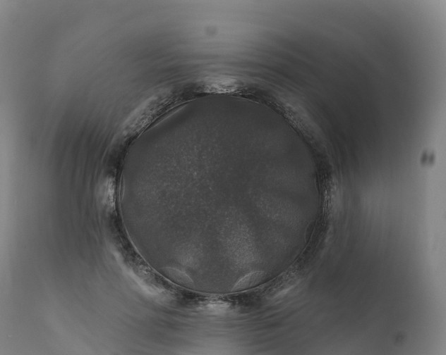 X0000112420598200908281840