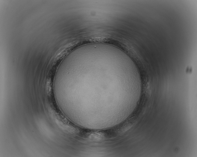 X0000112420599200908281840