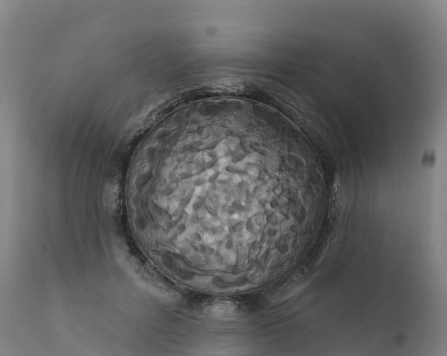 X0000112420600200908281840