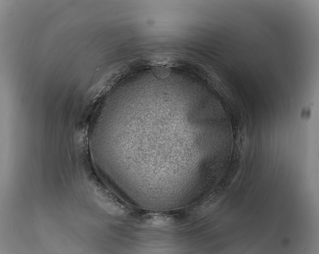 X0000112420601200908281840