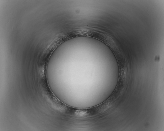 X0000112420602200908281840