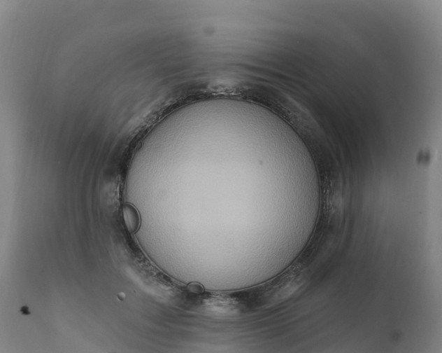 X0000112420603200908281840