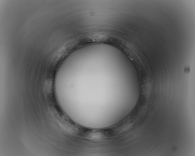 X0000112420604200908281840