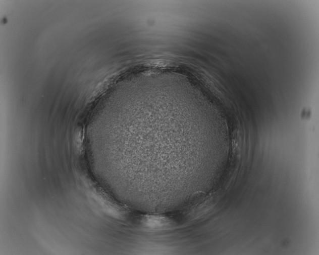 X0000112420605200908281840