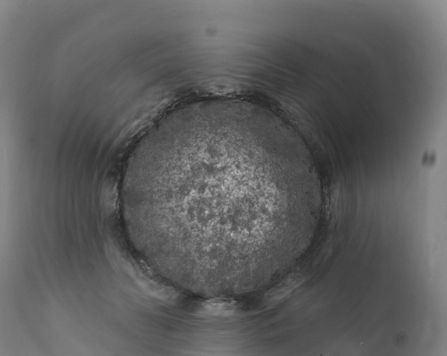 X0000112420606200908281840