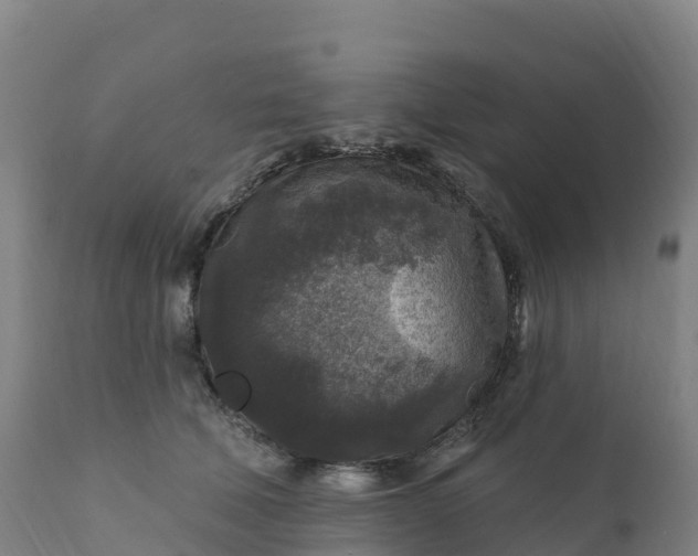 X0000112420610200908281840