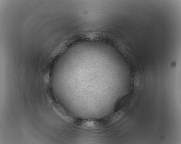 X0000112420611200908281840