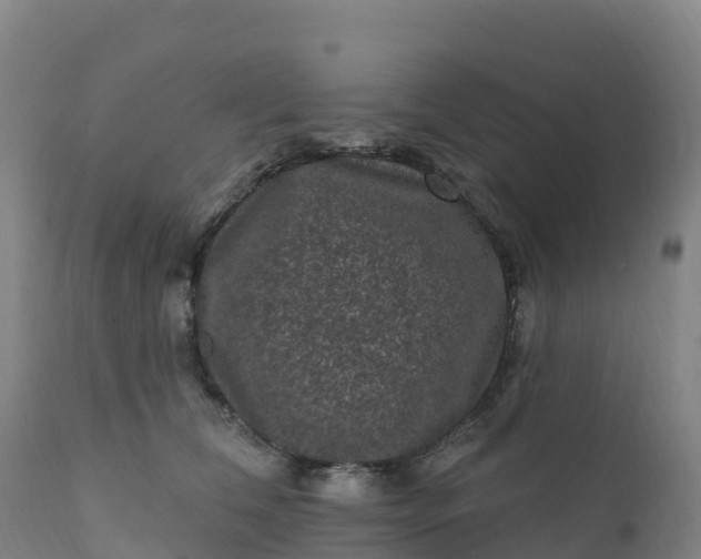 X0000112420612200908281840