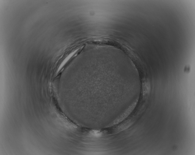 X0000112420613200908281840