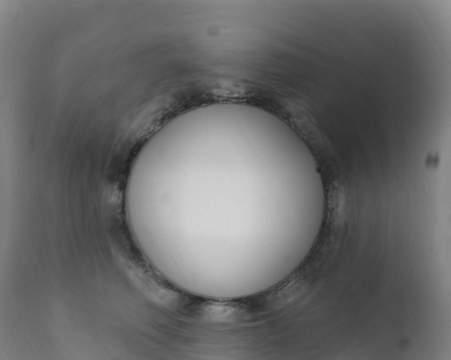 X0000112420614200908281840