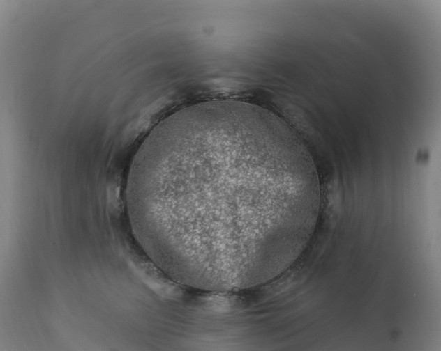 X0000112420615200908281840