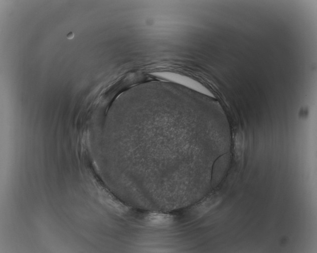 X0000112420617200908281840