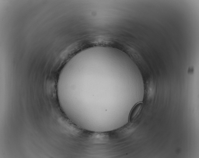 X0000112420619200908281840