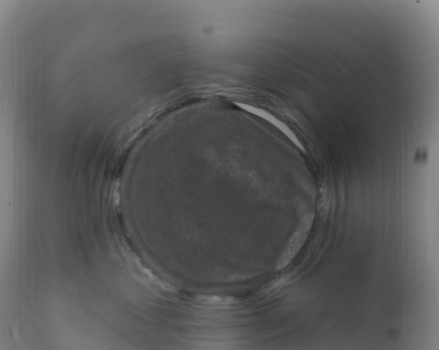 X0000112420621200908281840