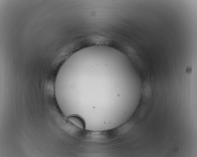 X0000112420622200908281840