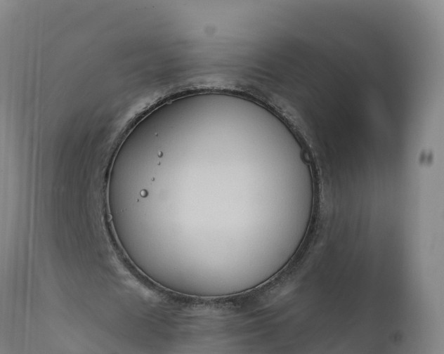 X0000112420625200908281839