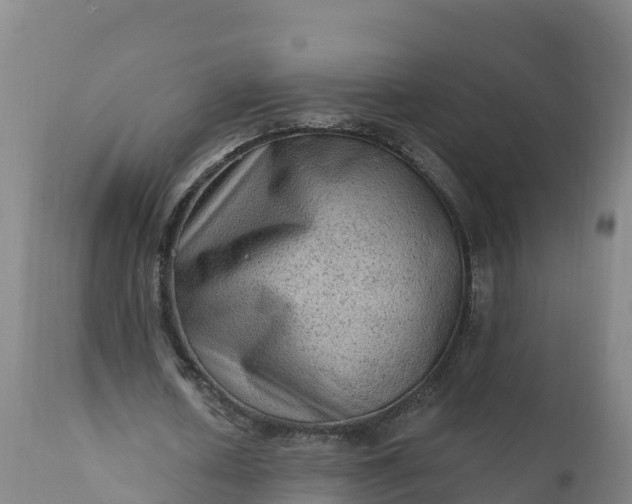 X0000112420626200908281839