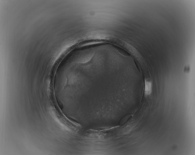 X0000112420627200908281839