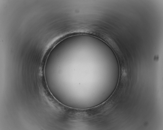 X0000112420628200908281839