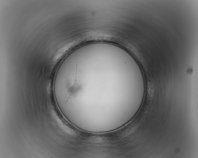 X0000112420629200908281839