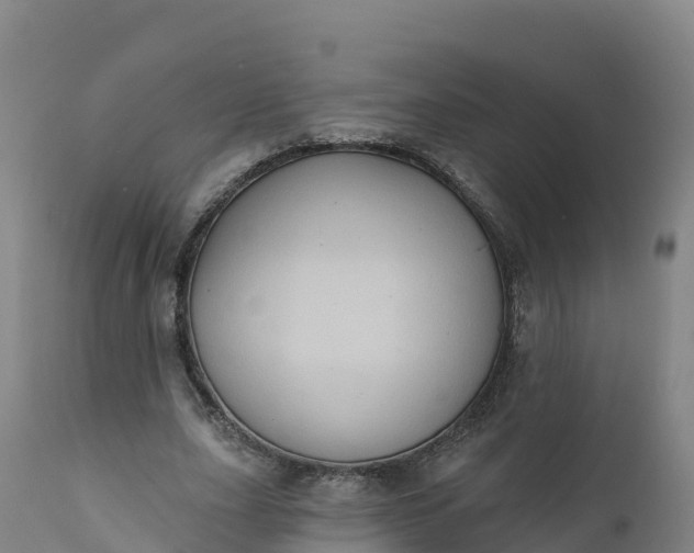 X0000112420631200908281839