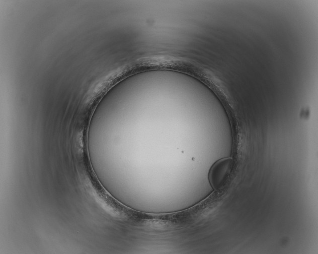 X0000112420633200908281839