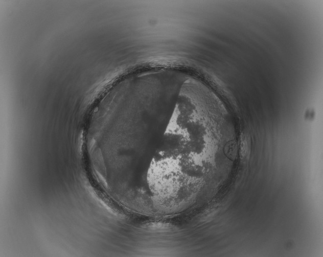 X0000112420637200908281839