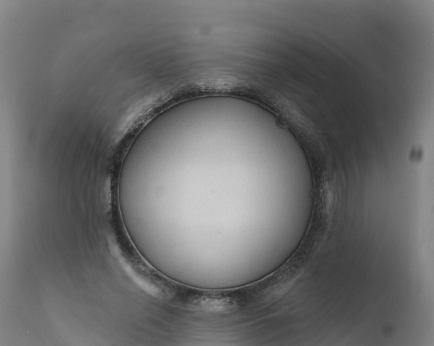 X0000112420638200908281839